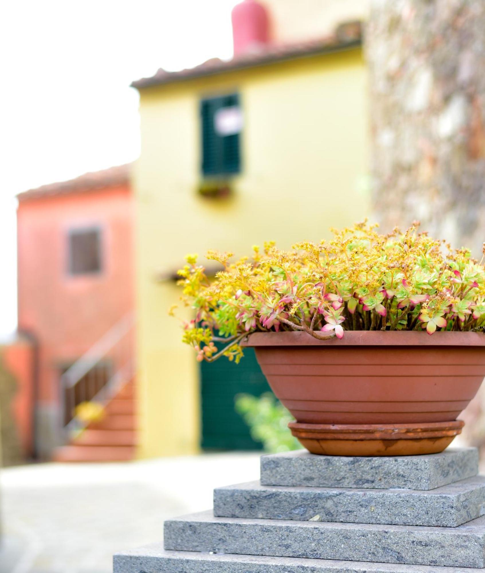 Agriturismo Castello Delle Fornaci - Private Jacuzzi Arcidosso Exteriér fotografie